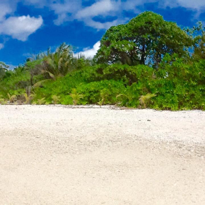 Fare Maeva Moorea Hotel Teavaro Bilik gambar
